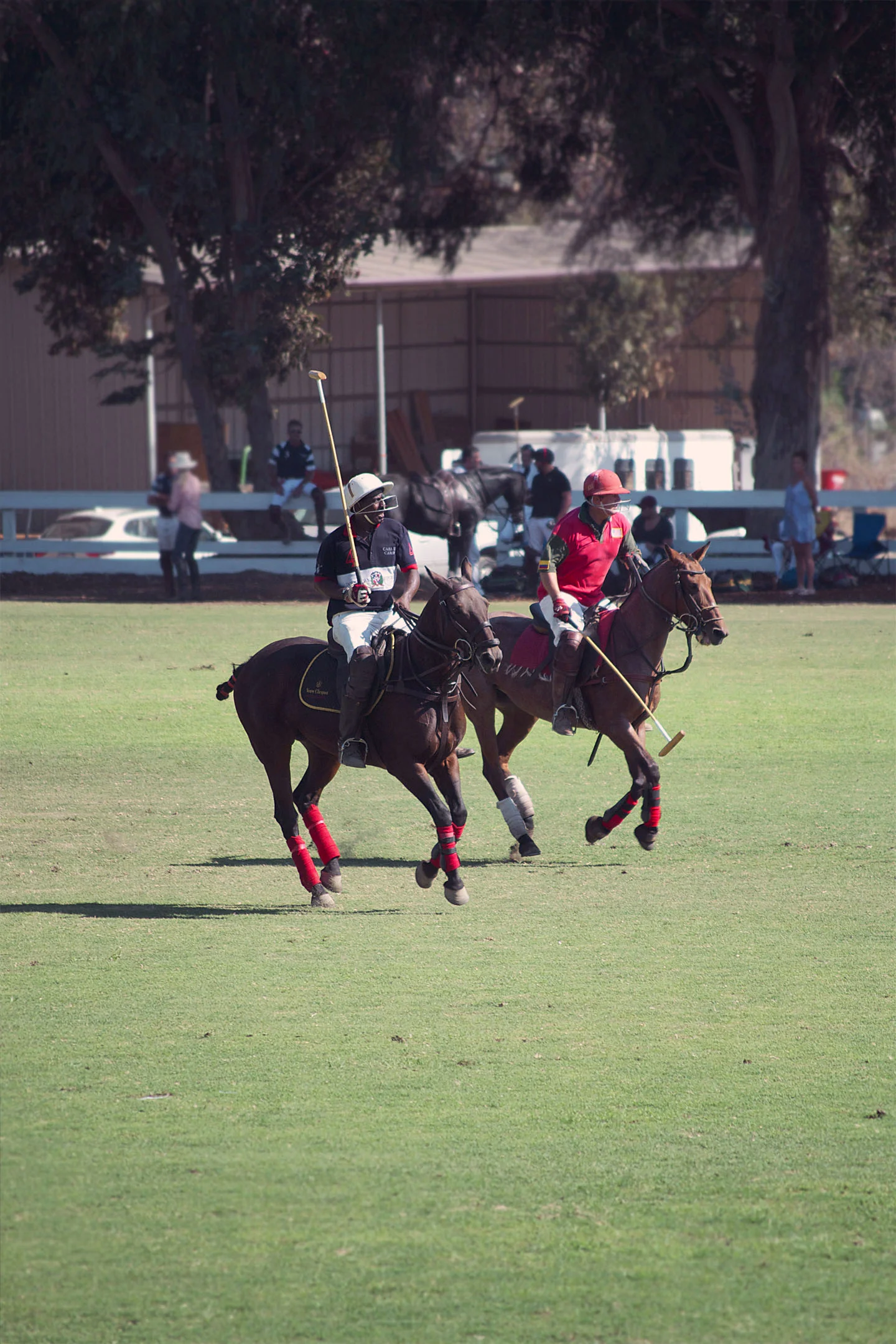 Will Rogers Polo Club — West Coast Capri