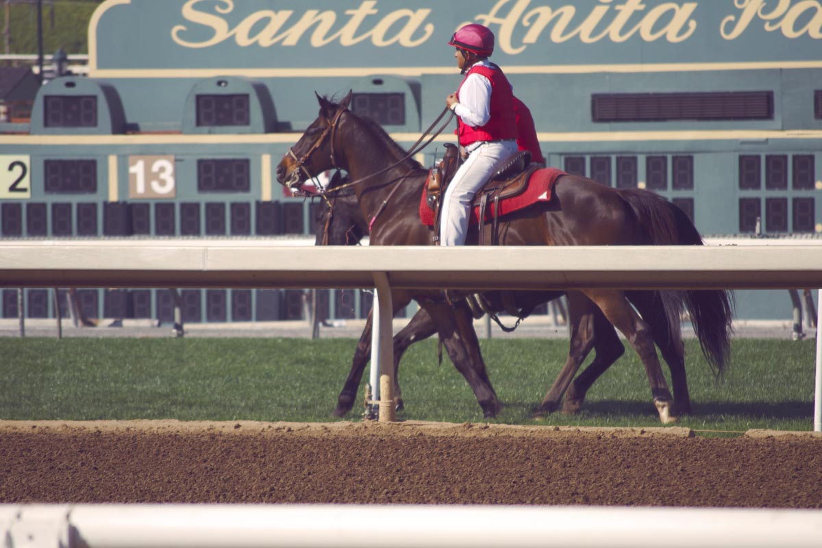 Santa Anita Horse Races