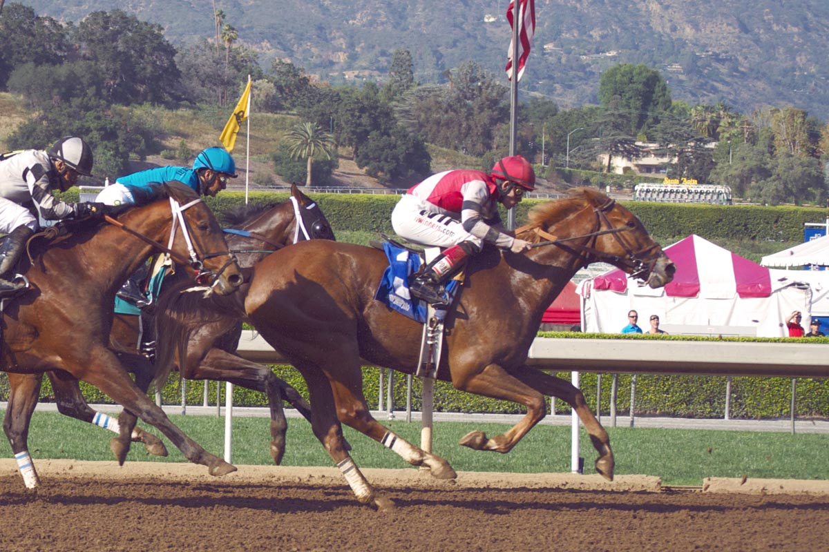 Santa Anita Horse Races