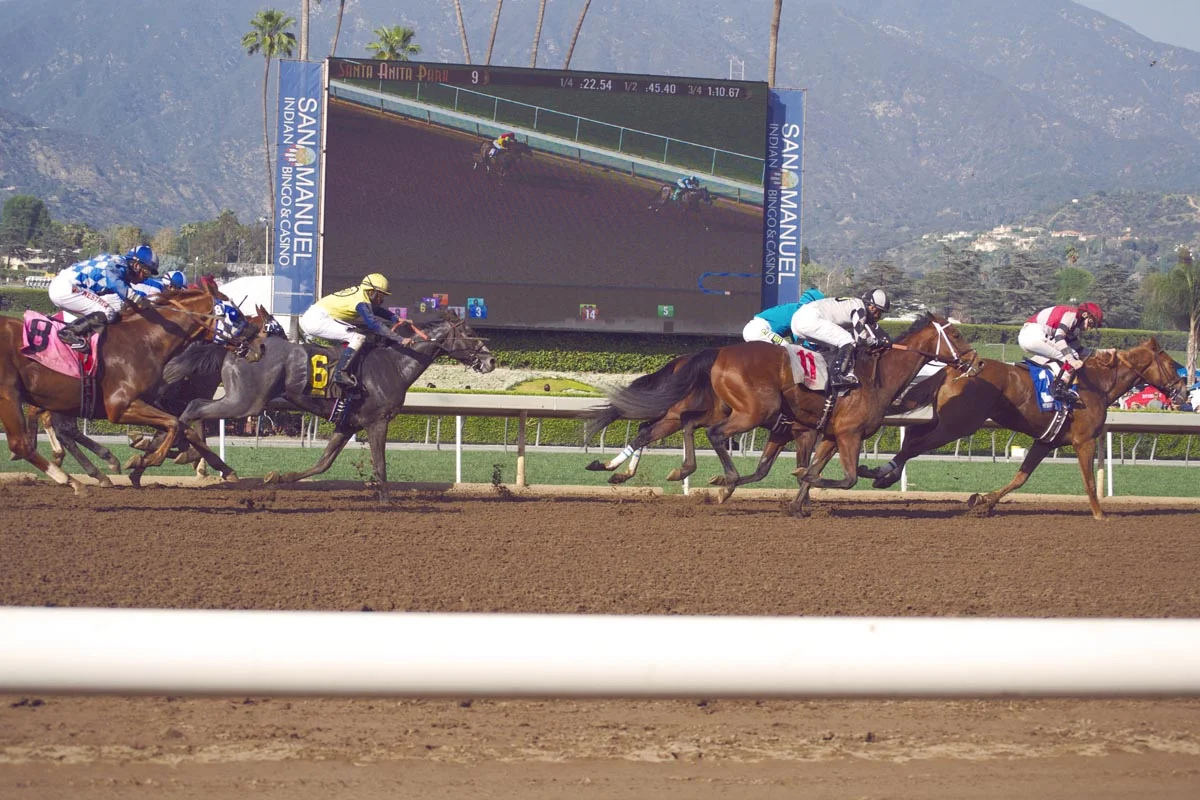 Santa Anita Horse Races