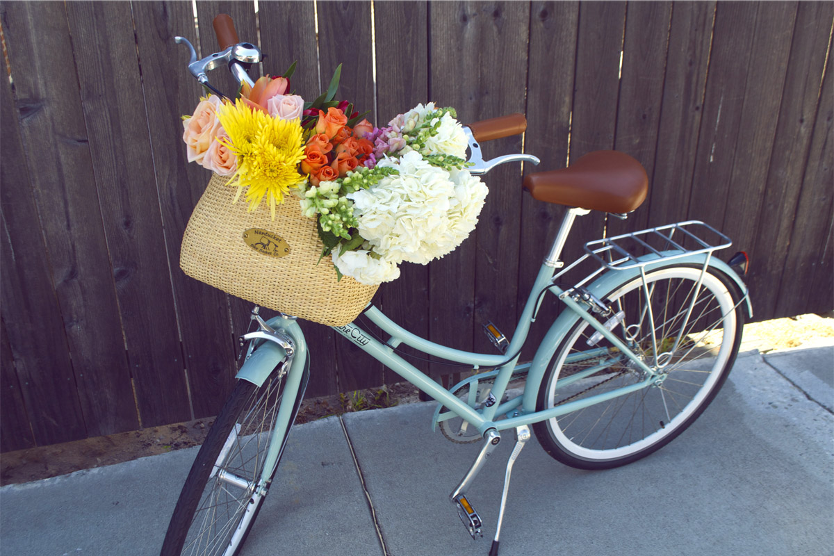 5.PureCitybeachcruiser.jpg