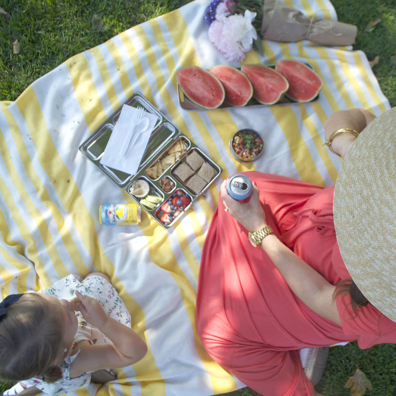 Picnicking with Planetbox