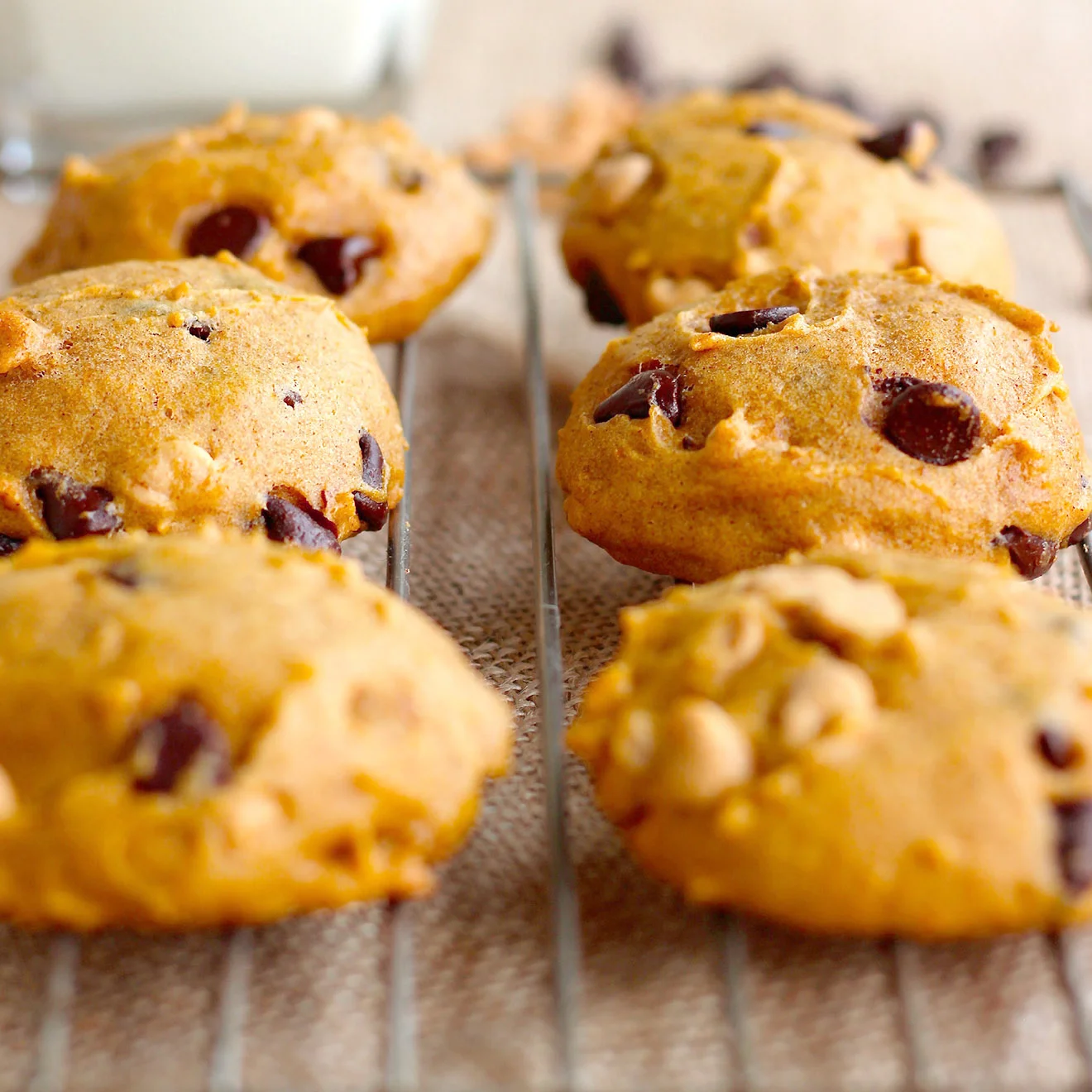 Pumpkin Chocolate Chip Cookies