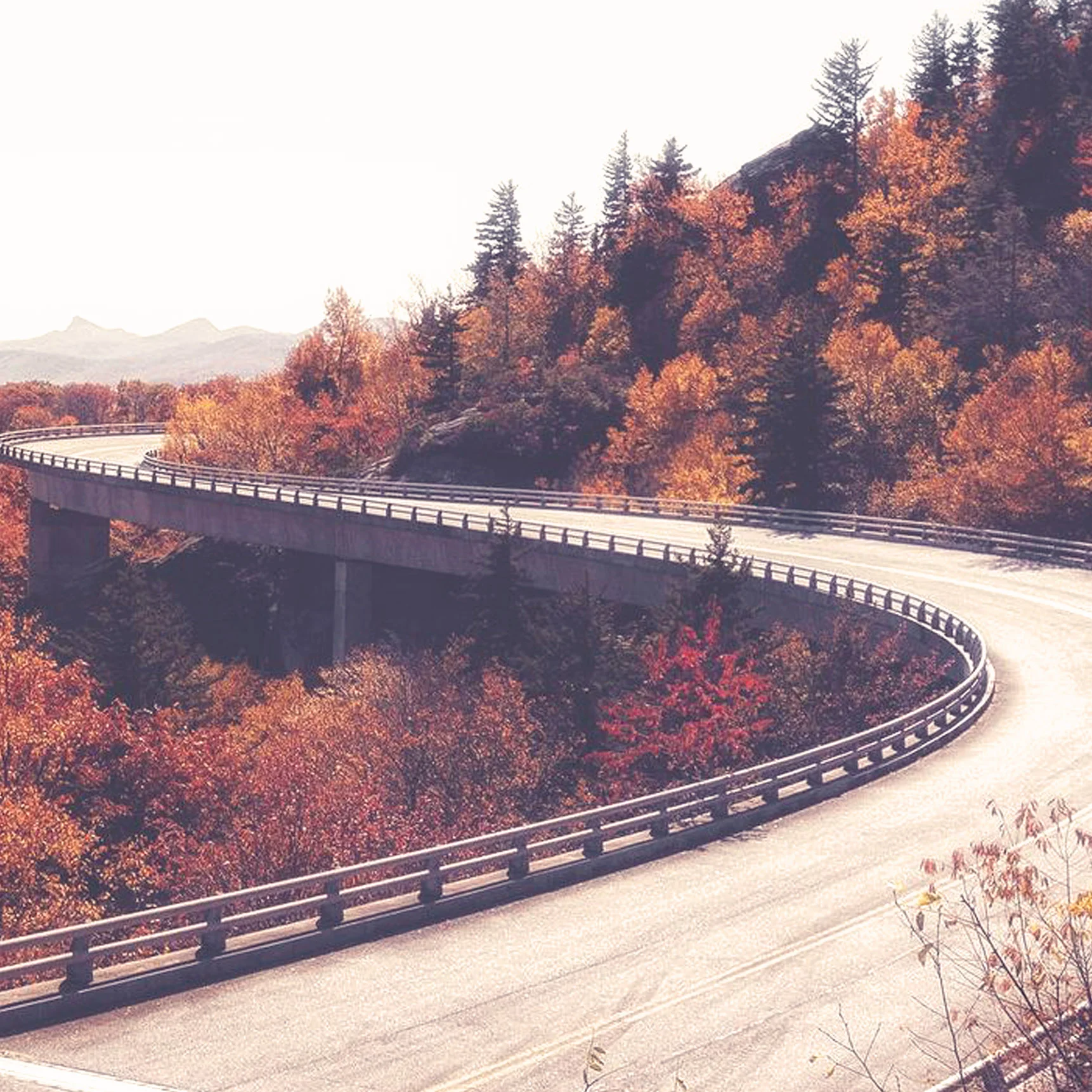 Autumn Time Checklist