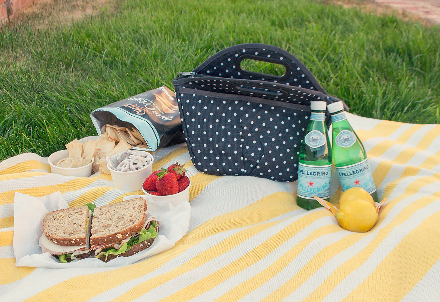 picnic-11.jpg