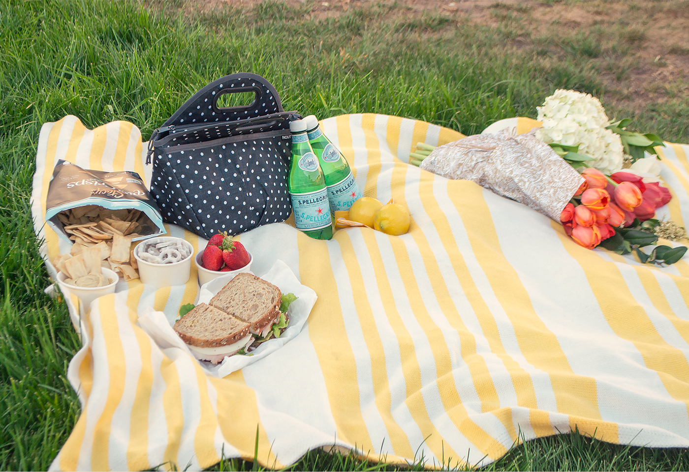 picnic-10.jpg