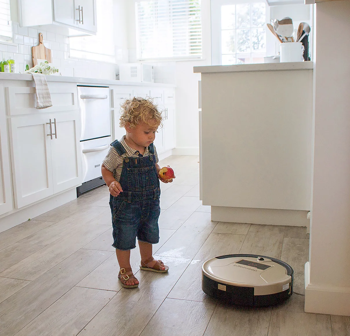 bObsweep Pethair Vacuum 