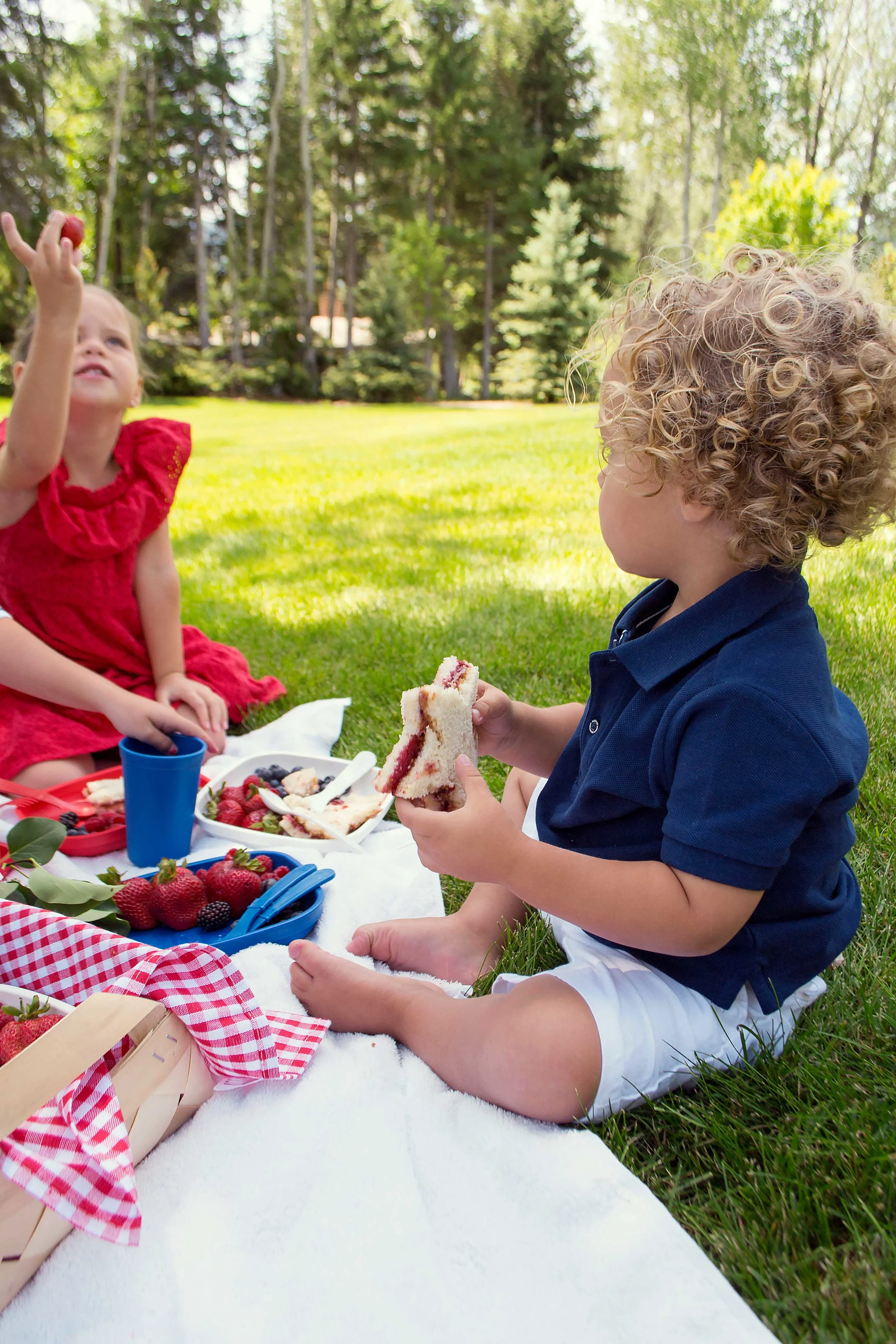 fourth of July picnic