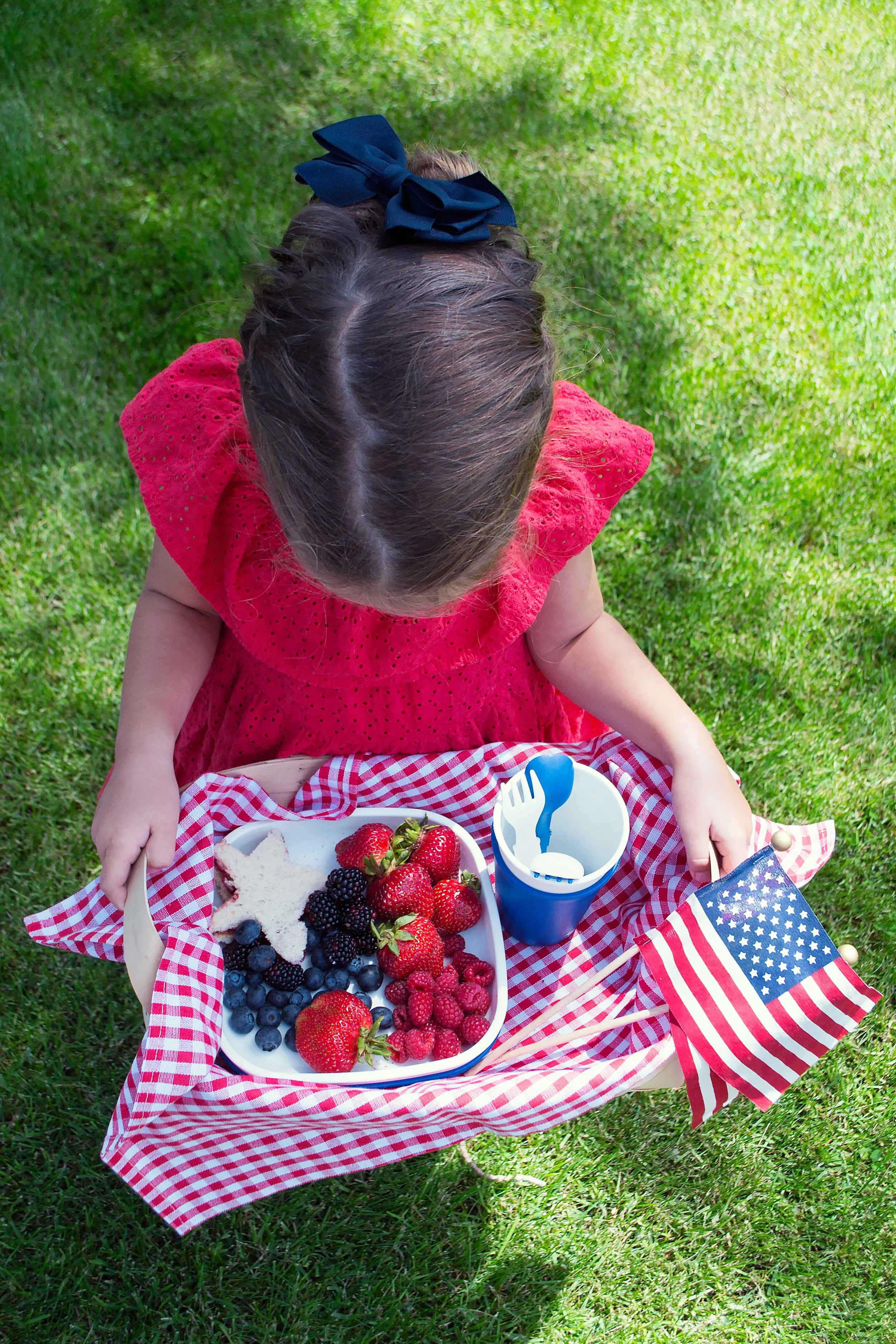 fourth of July picnic