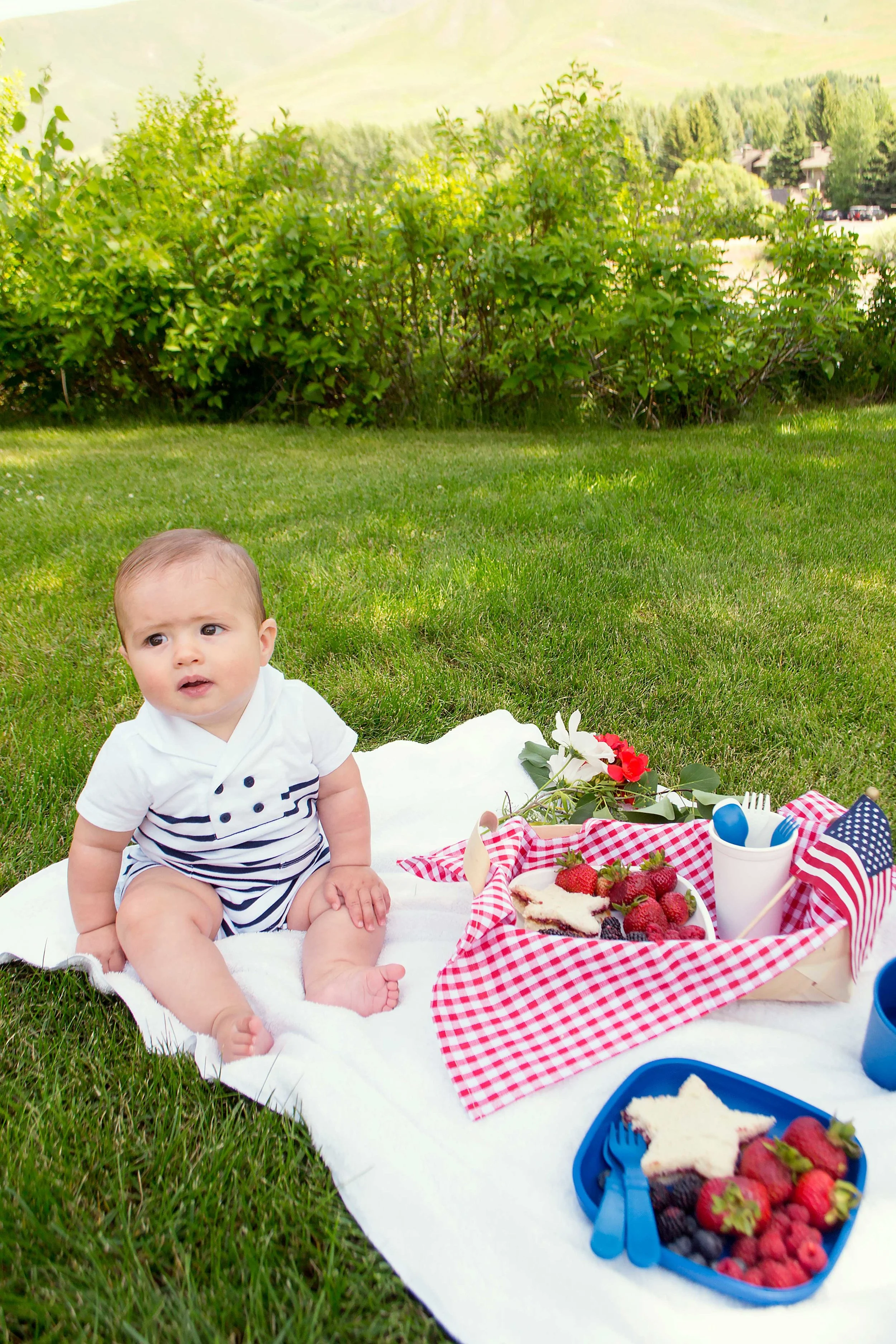 fourth of July picnic