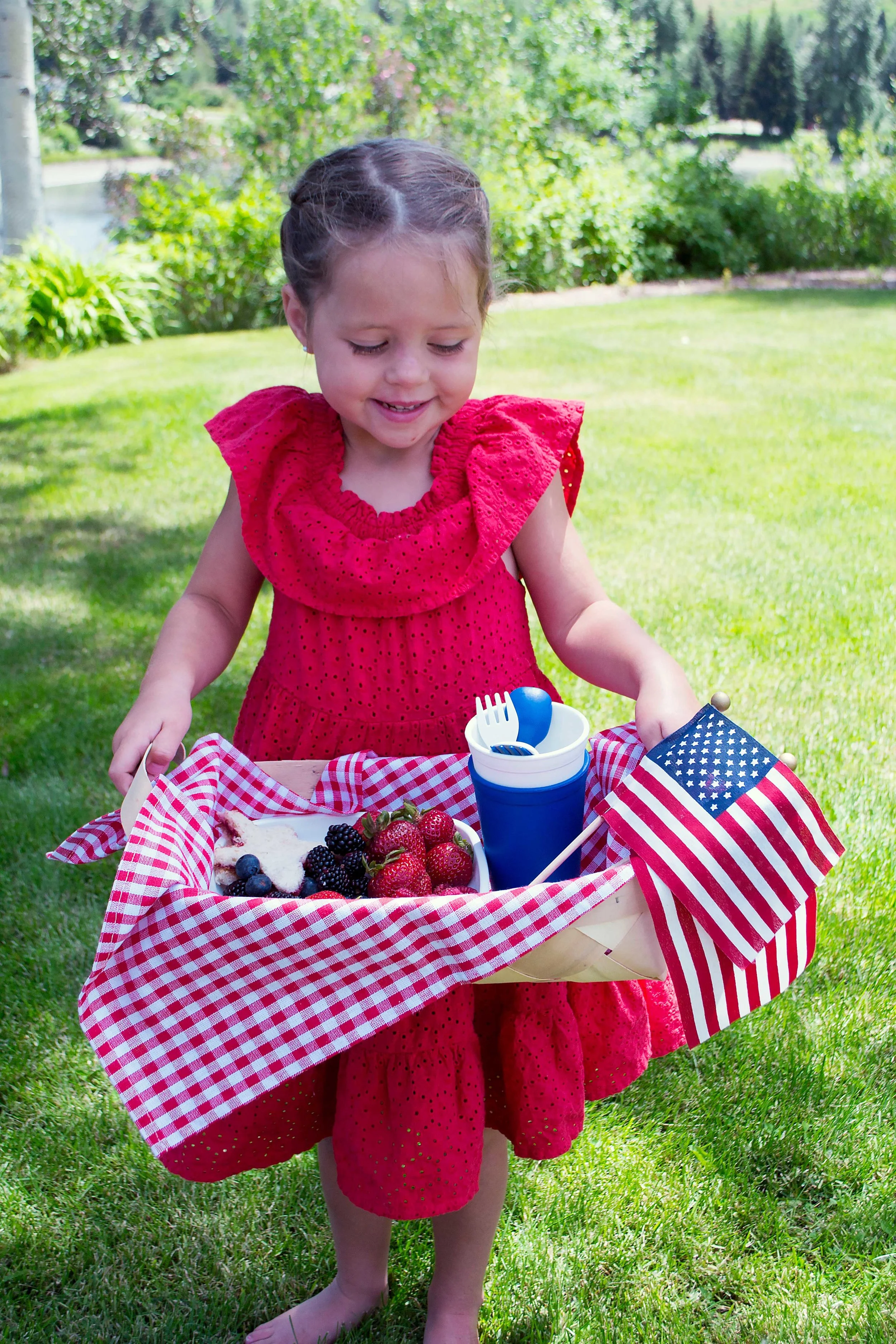 fourth of July picnic