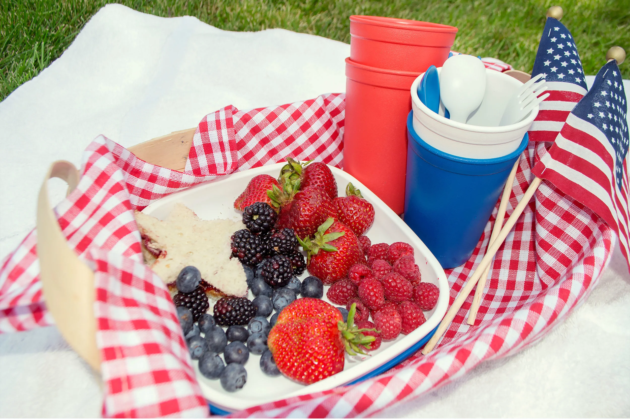 fourth of July picnic