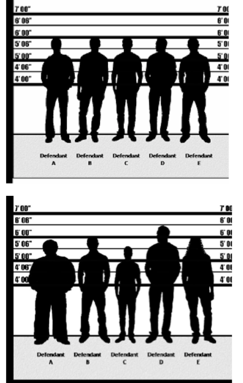 Participants either saw a homogeneous lineup or a heterogeneous one, according to condition. 