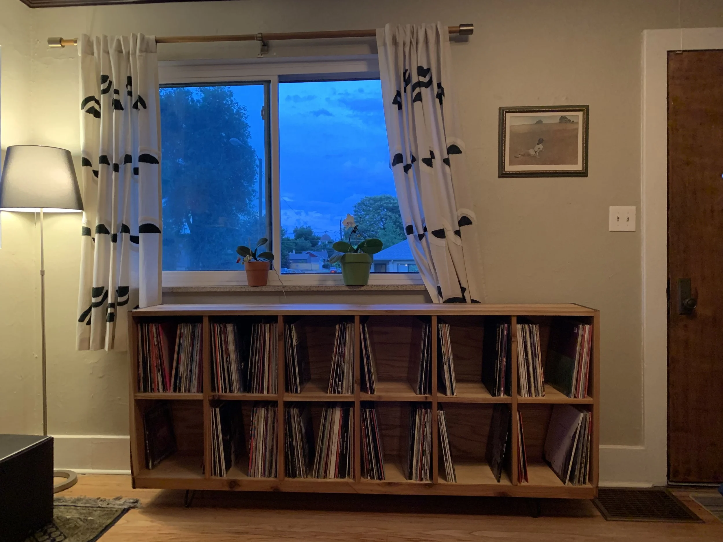 Custom Record Storage, City Park, Denver, CO