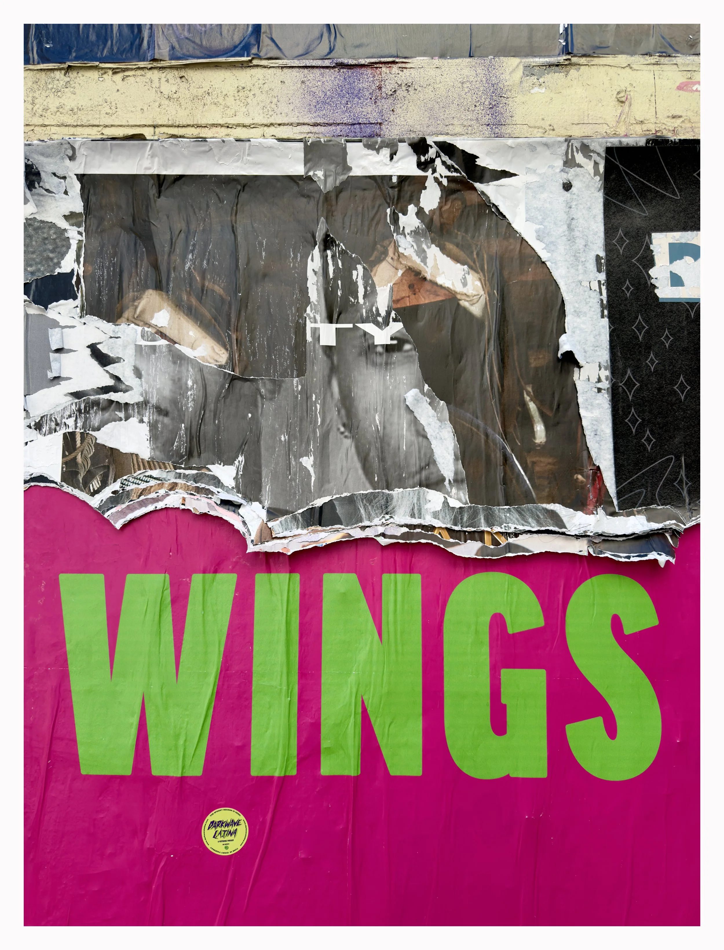 2_Wings_30.5%22x40%22_size includes 2%22white bleed.jpg