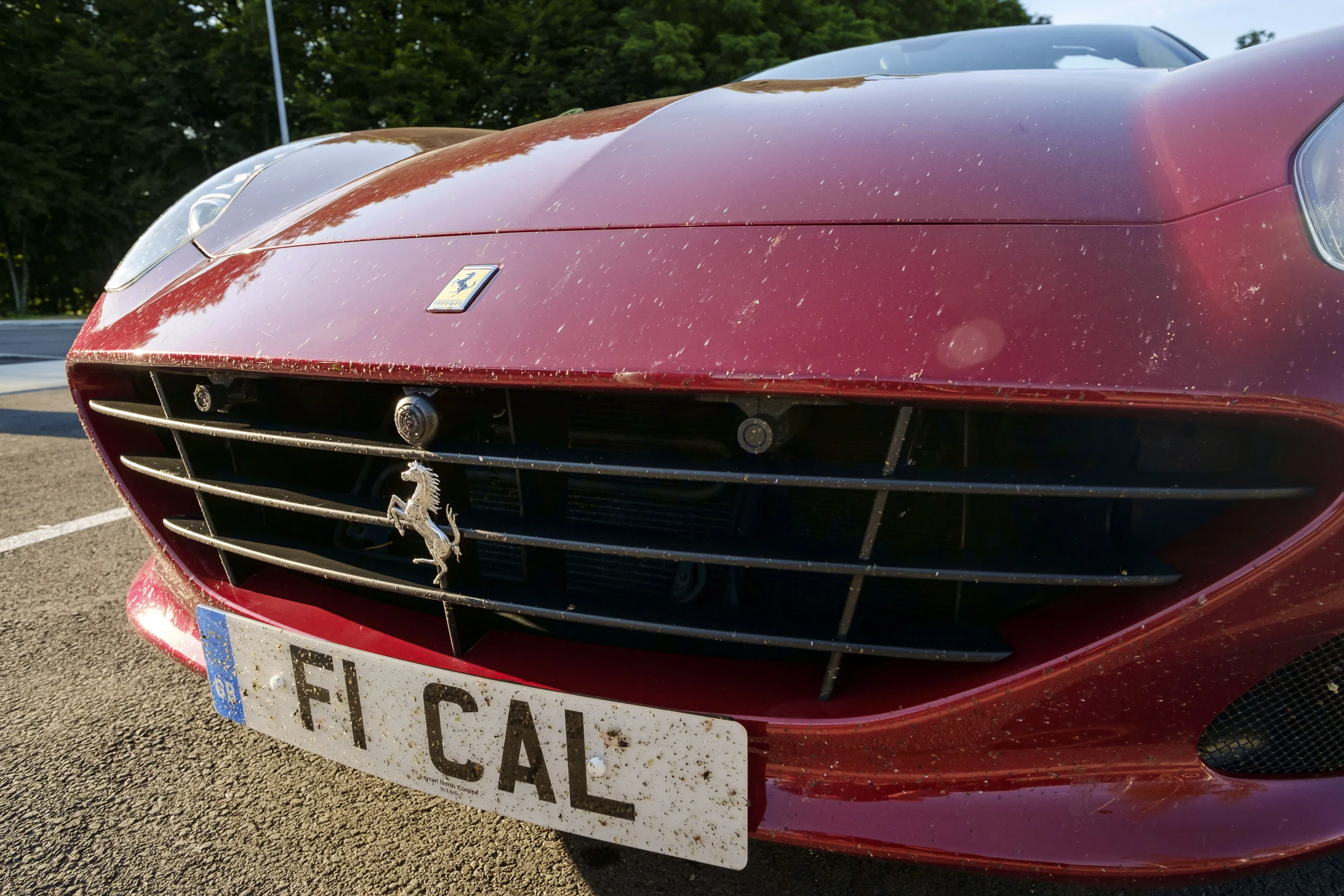Ferrari to Italy and back