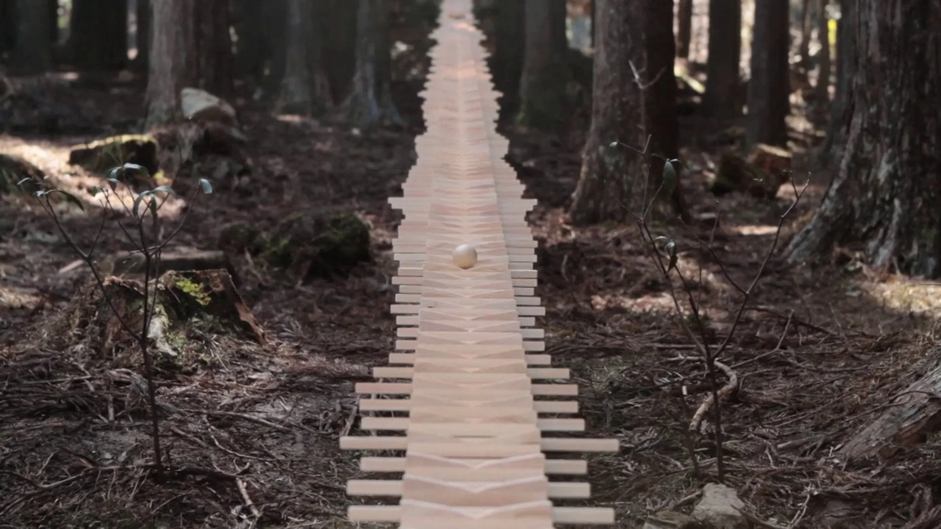 A gigantic 44m xylophone made with surplus wood of trees. A promotional movie for “Touch Wood SH-08C” , a mobile phone also made out of surplus wood.