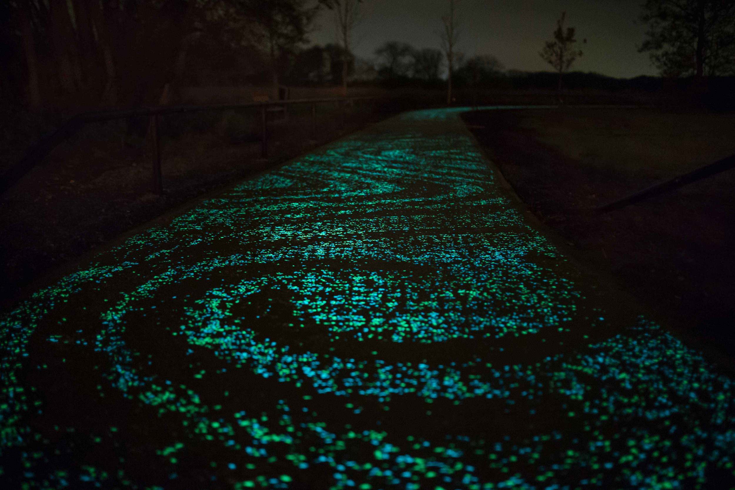Vangogh Path. Image courtesy smarthighway.net