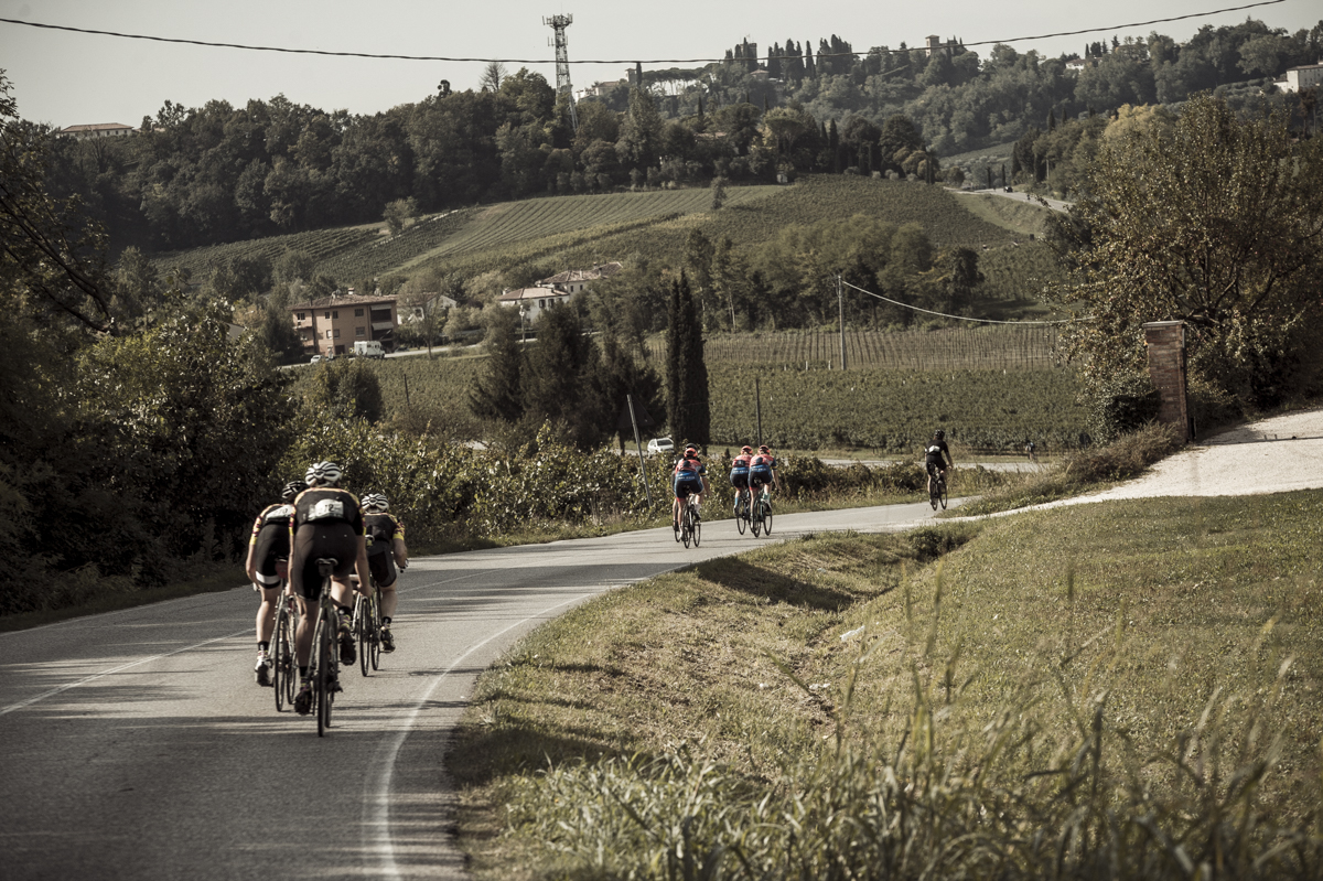 TDF_4_Nils-Laengner-17.jpg