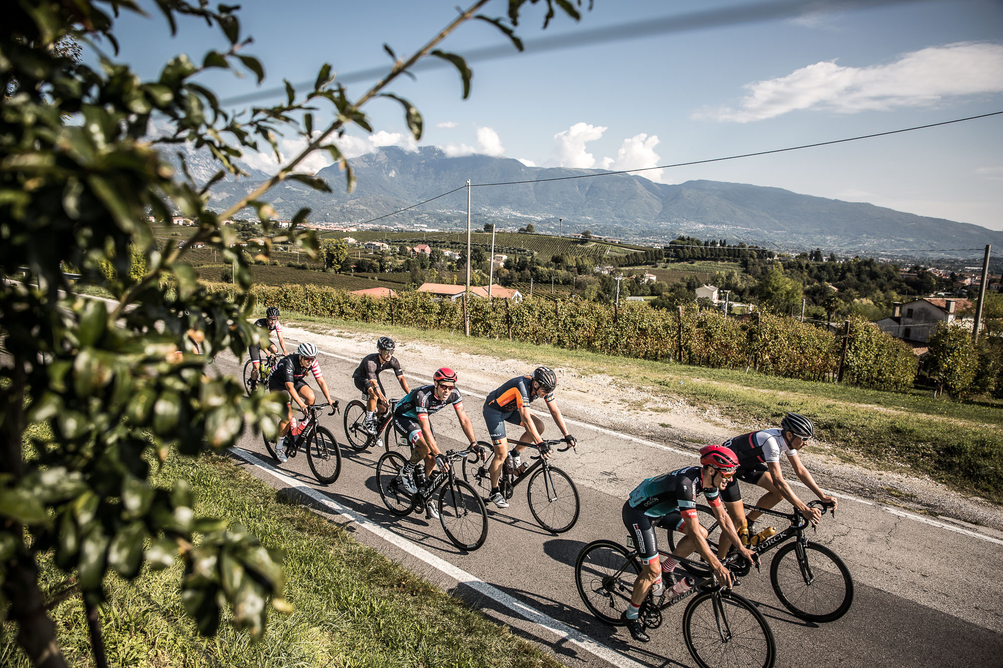 TDF2_Stage-4_15-09-2018_A8A0829_Christoph-Steinweg.jpg
