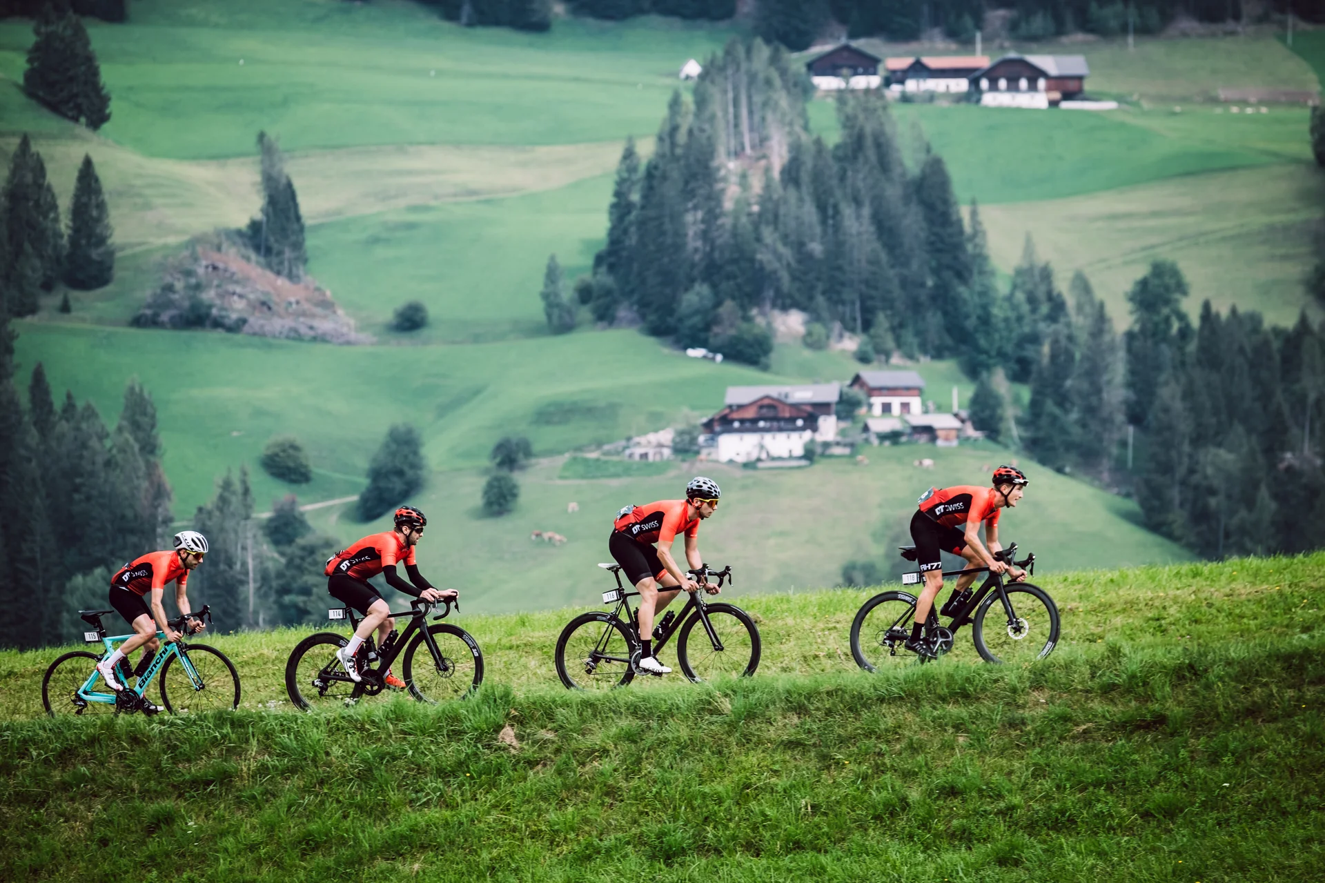 TDF-2018-ALL (146 von 270).jpg