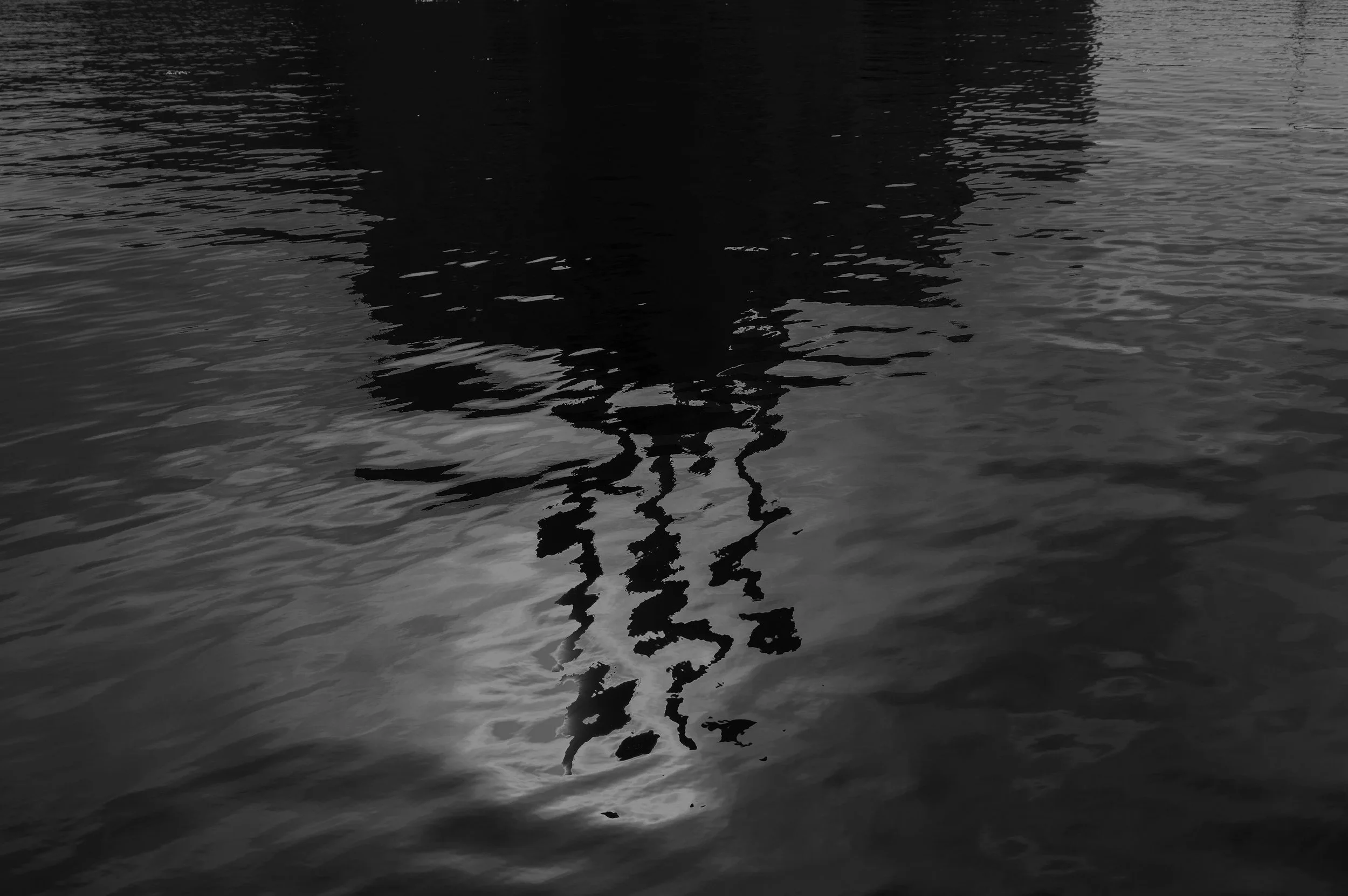 L1000612.jpg