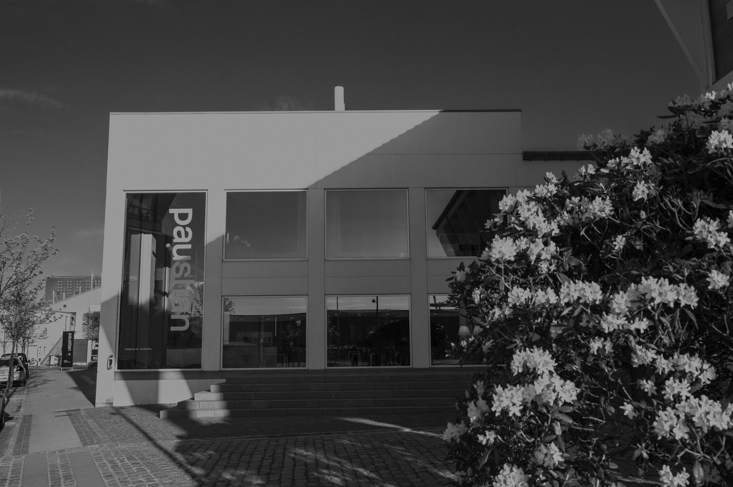 L1000643.jpg