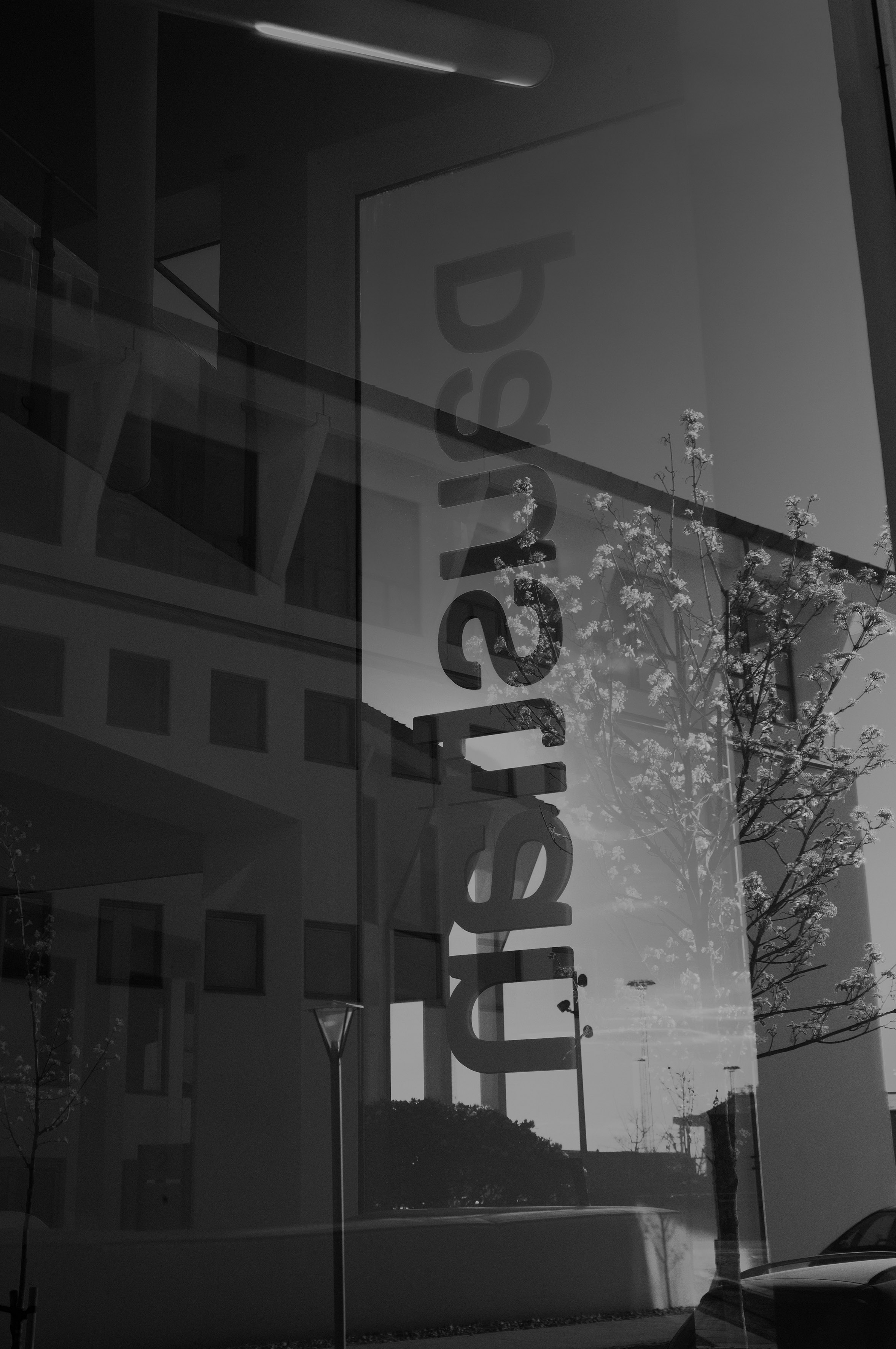 L1000653.jpg