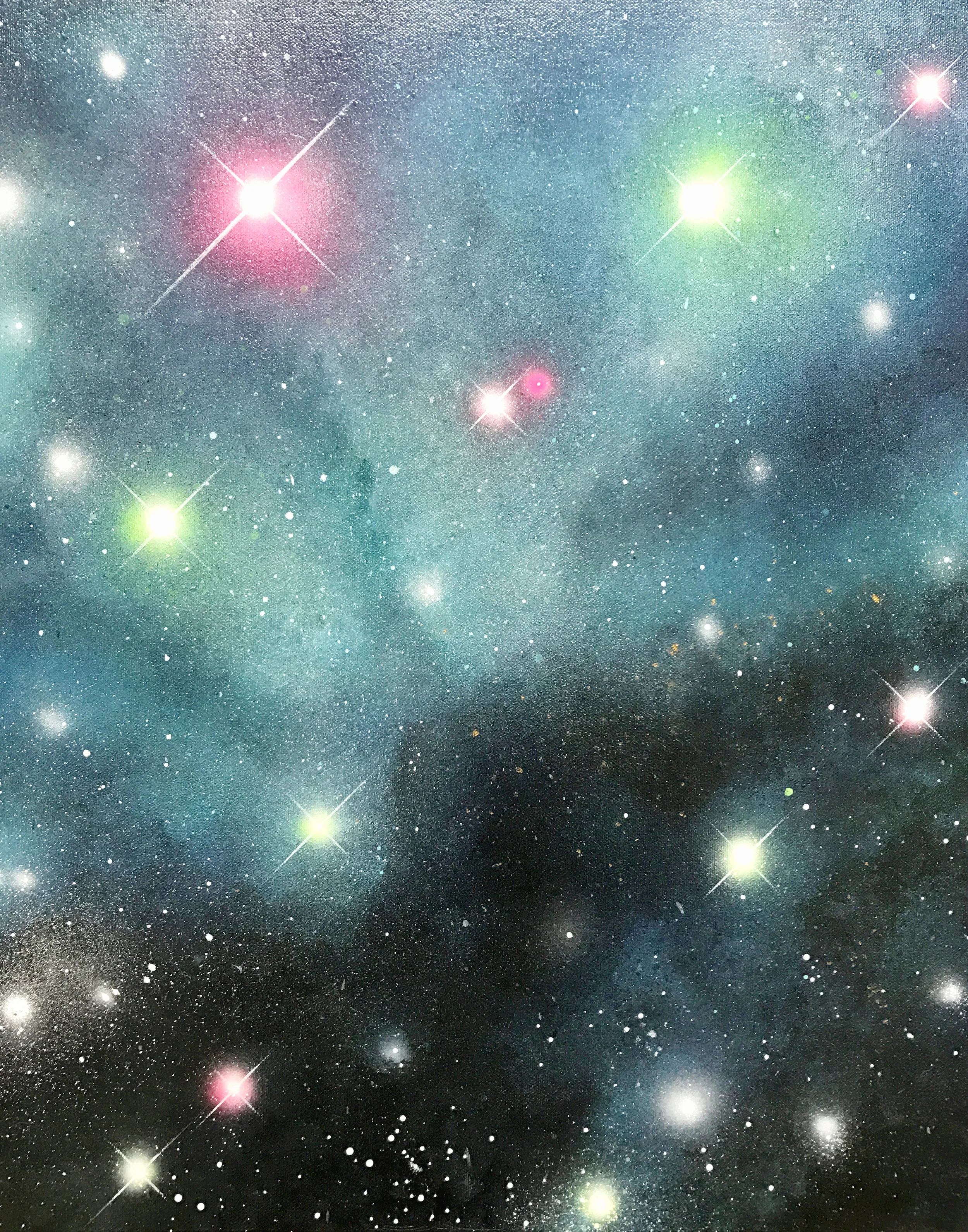 chebula1.jpg