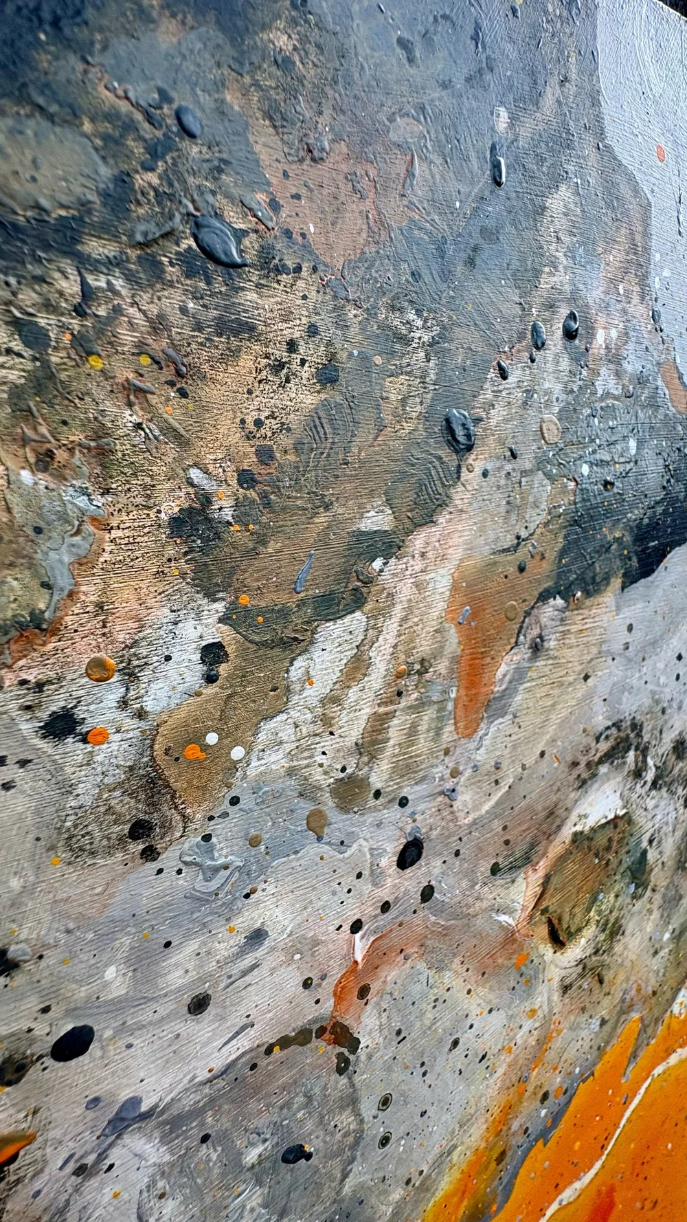 絵画 Abebe 絵はがき〈梅樹〉葛飾北斎 C-73京都便利堂オンラインショップ