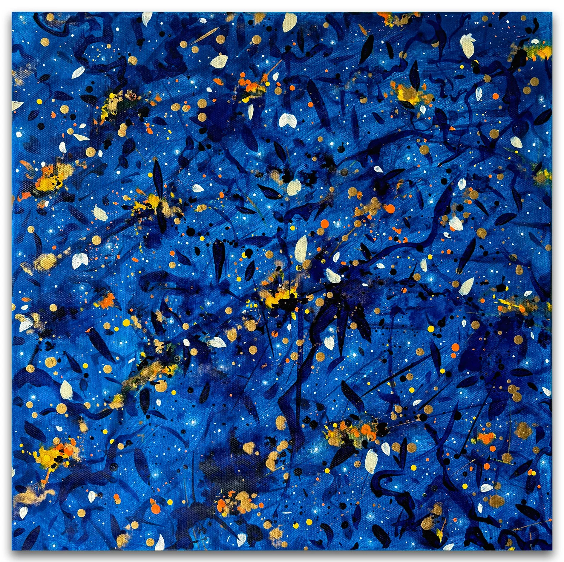 Celestial-Bloom-cheba.jpg