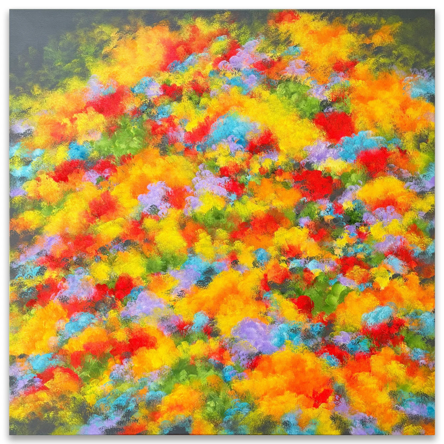 wild-bunch-cheba.jpg