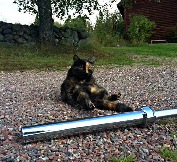 Strike a pose! PT-Greta slappar efter lite blandade småhopp med stången
