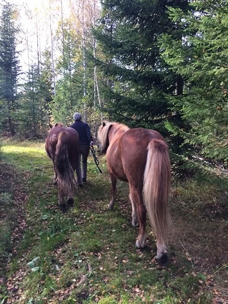 Söndagsäventyr med Majken, mormor, Brodir och Musse.