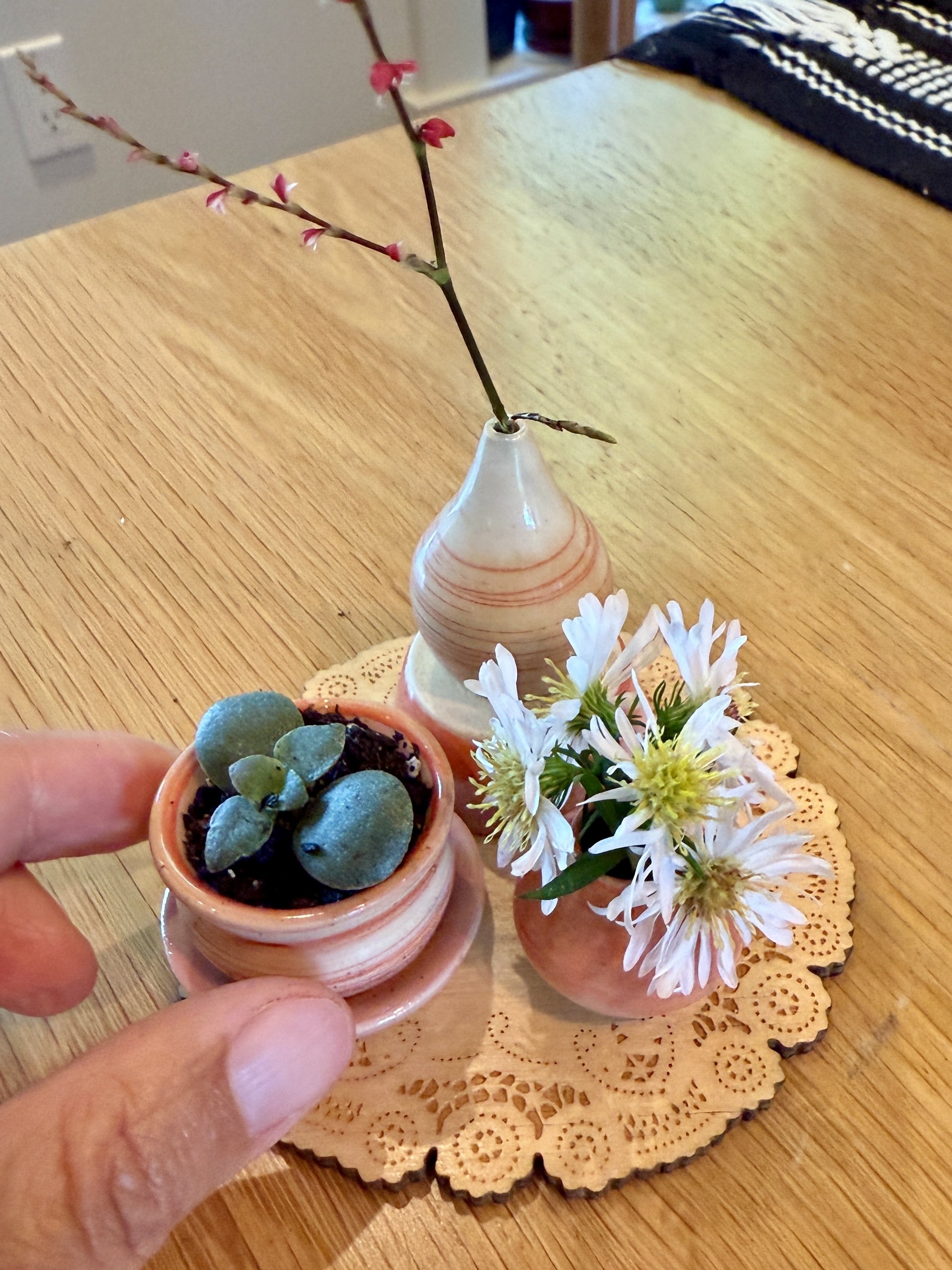 Three mini vessels with real plants.