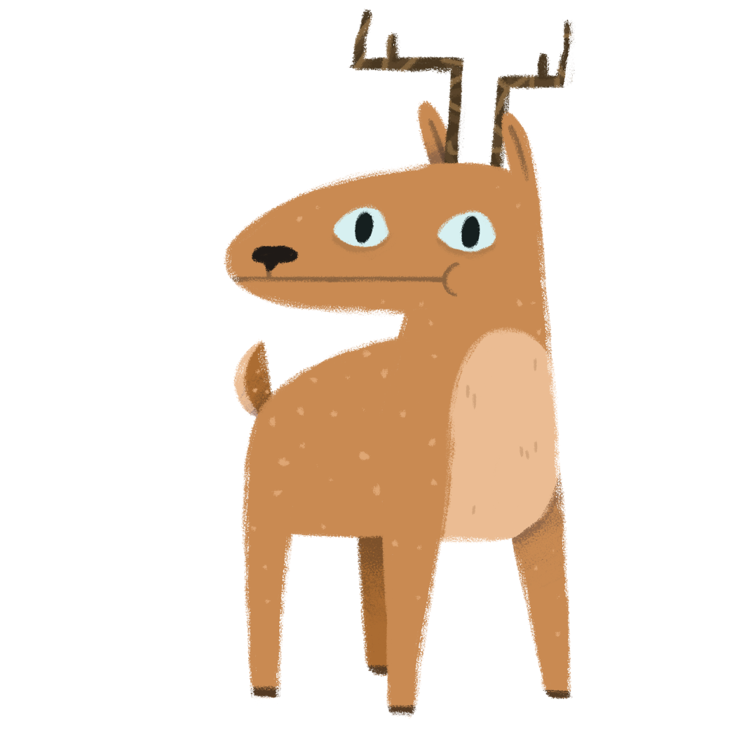 Deer