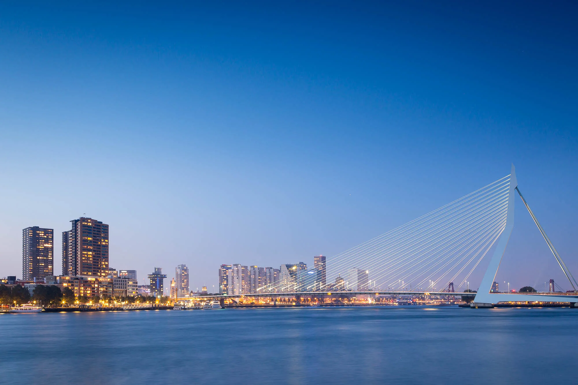 Rotterdam-42.jpg