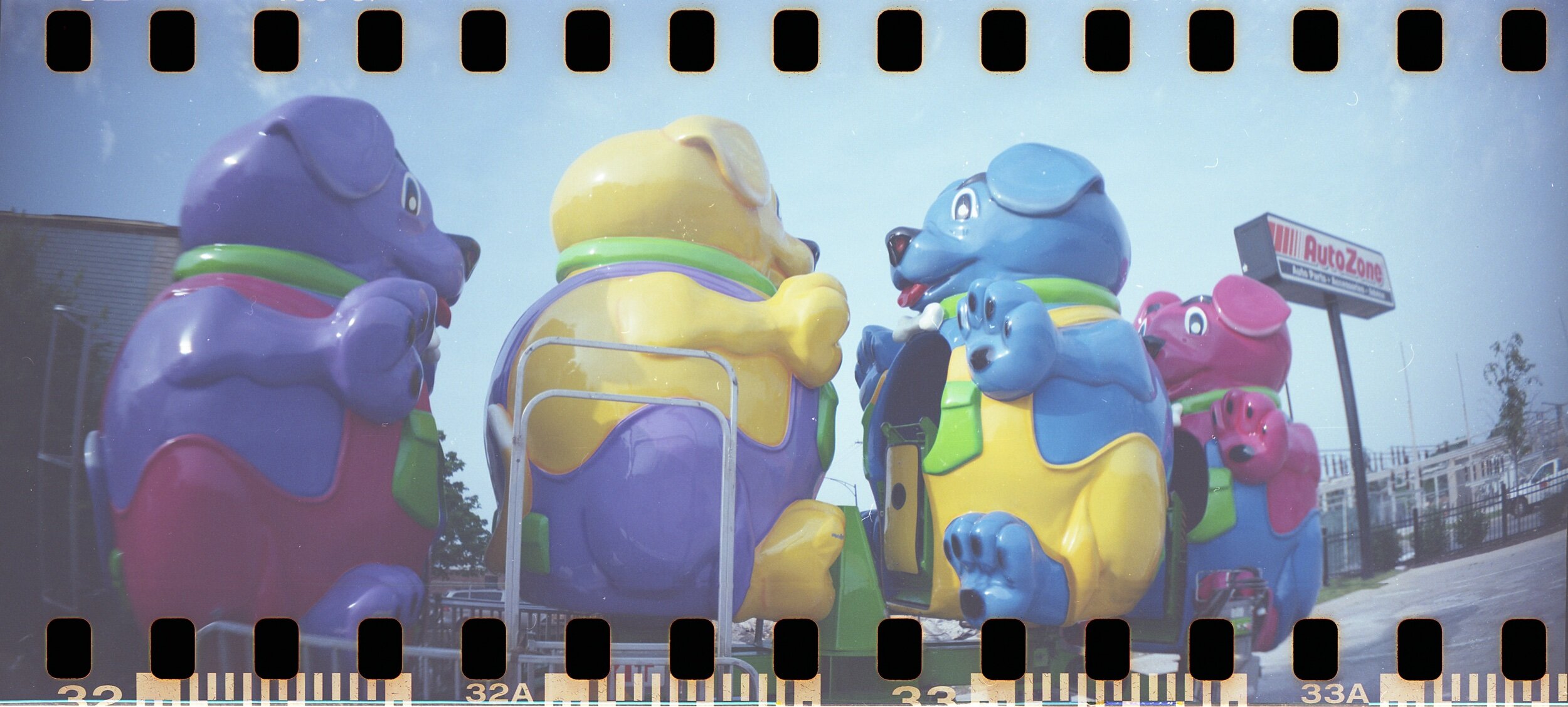 Dog Ride SR.jpeg