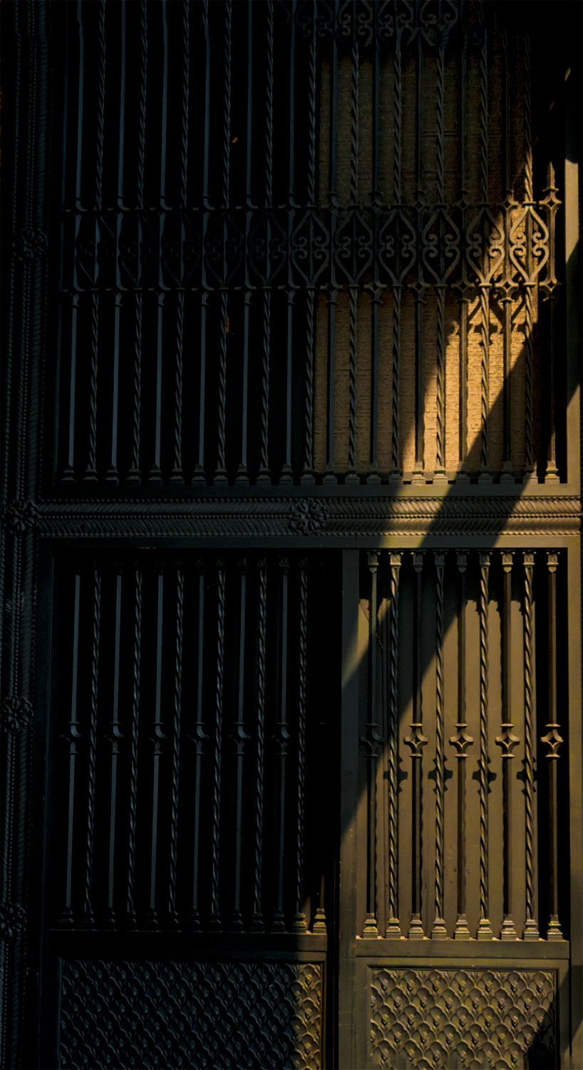 Golden Light
