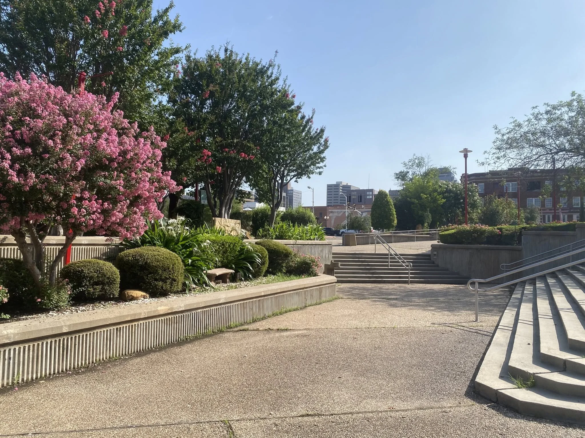 Asian Gardens looks better every day!
