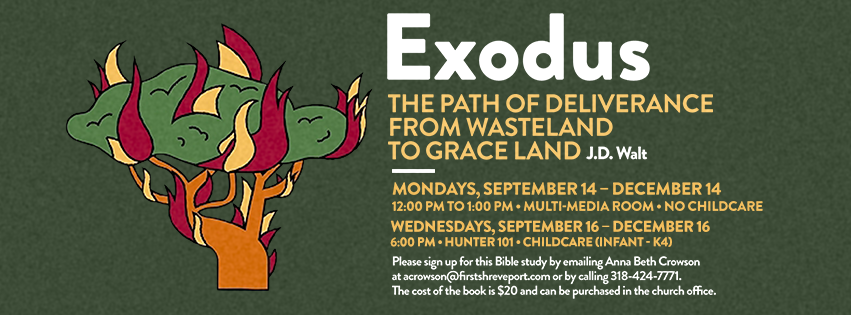 Exodus The Path of Deliverance From Wasteland to Grace Land 