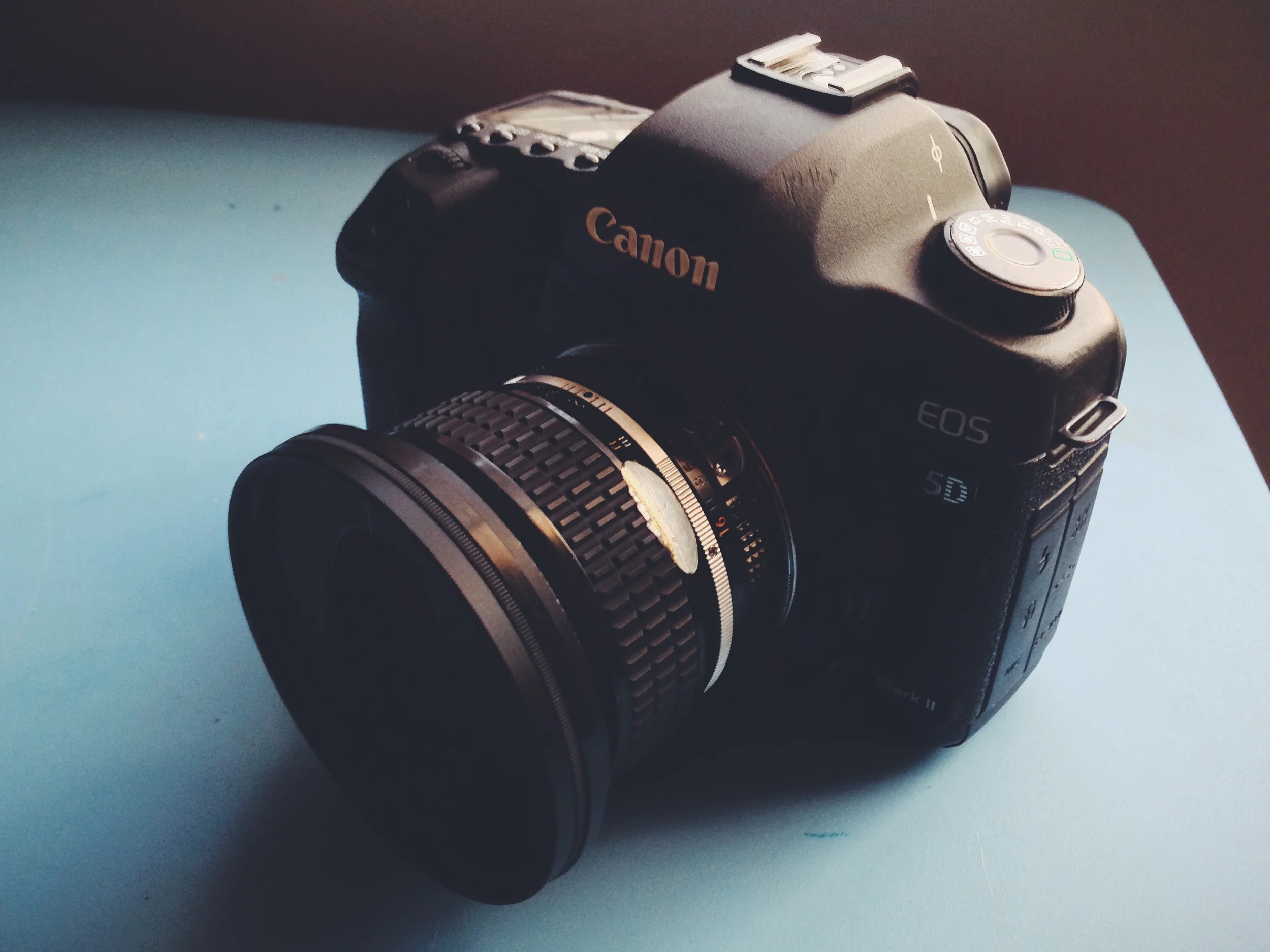 Vintage Filter on the Nikon 50mm f1.2 and Canon 5D.