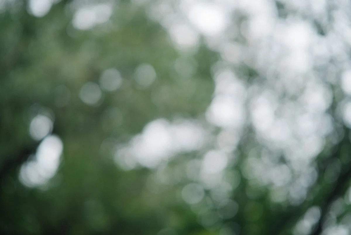 Without Vintage Filter on 85mm f1.4 lens. Photos courtesy of Daniel Herman / @mineralsound