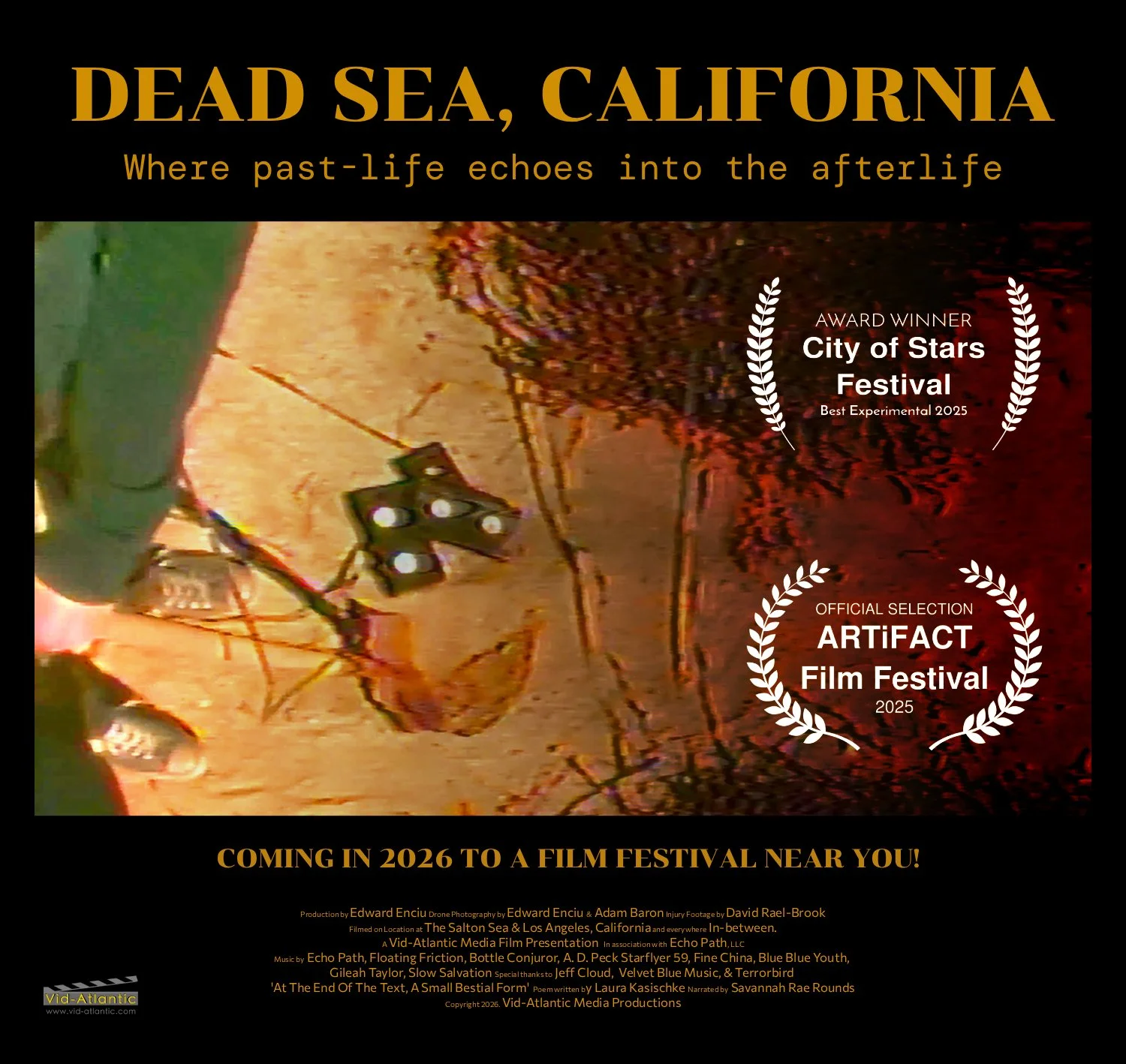 DSC Film Festival Promo Image A.jpg