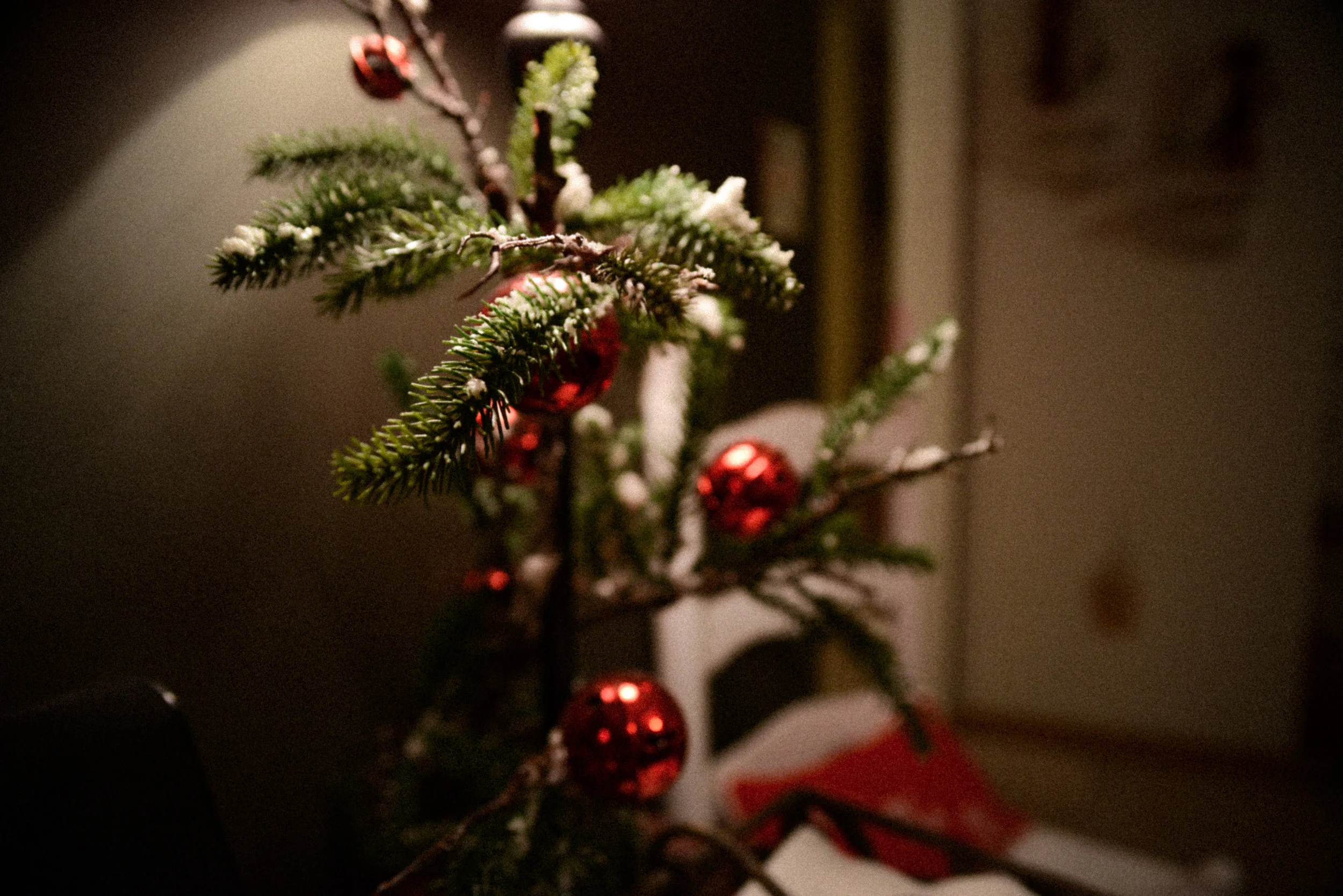 DSC_2684-15.jpg