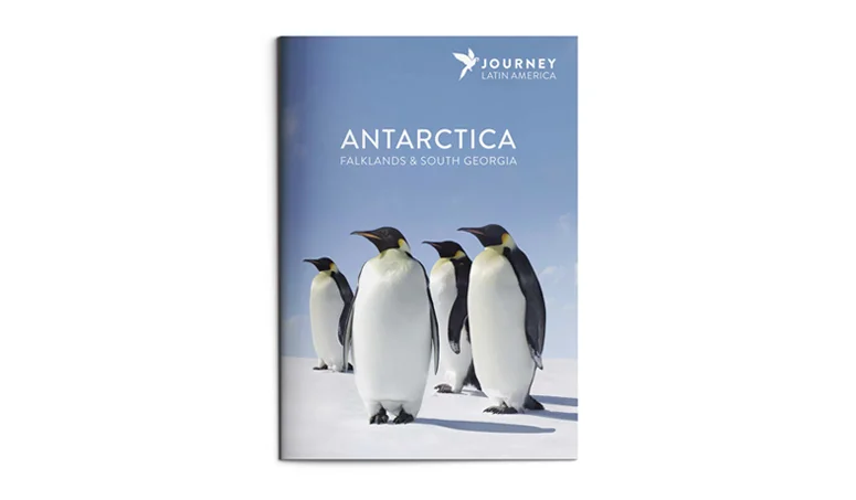 journey-latin-america-antarctica-1.jpg