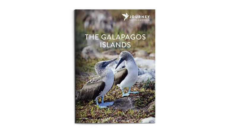 journey-latin-america-galapagos-1.jpg