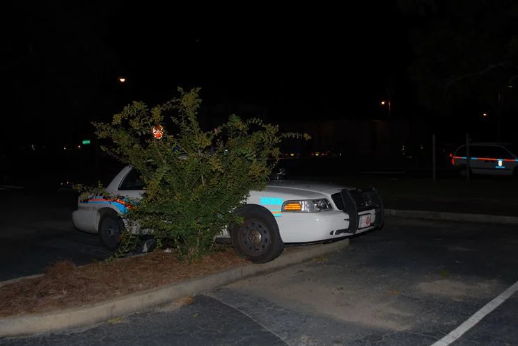 A4S_copcar080110_133106a_8col.jpg