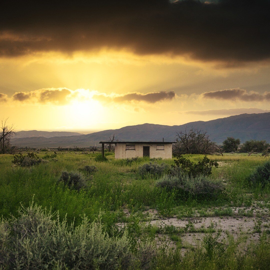Abandoned shack in the middle of nowhere.
#shack#leica#anza#landscape#roadtrip#travelphotography#medow #lightroom #sonyalpha #goldenhour #sunset #leicaphotographer #abandoned #abandonedplaces #coachellavalley #abandonedbuilding