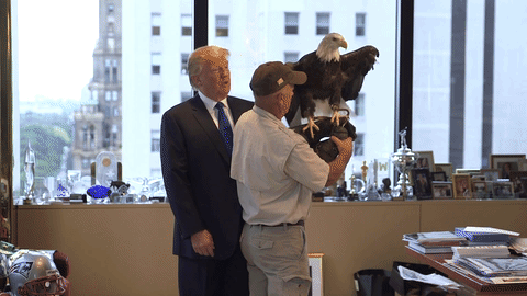1492625714353.gif